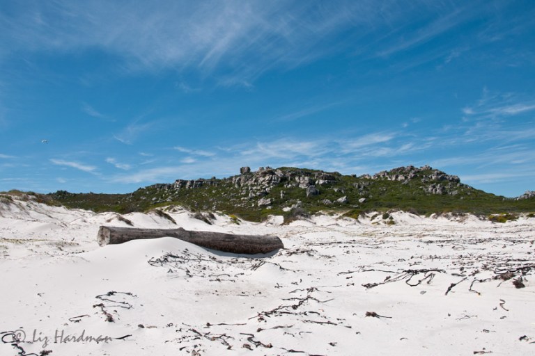 Seafarer from a faraway land.