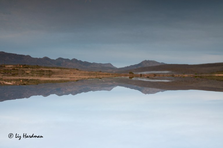 Lake-reflections-_-flipped-image