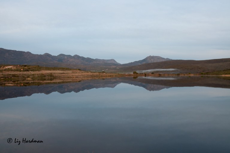 Lake-reflections-_original-orientation