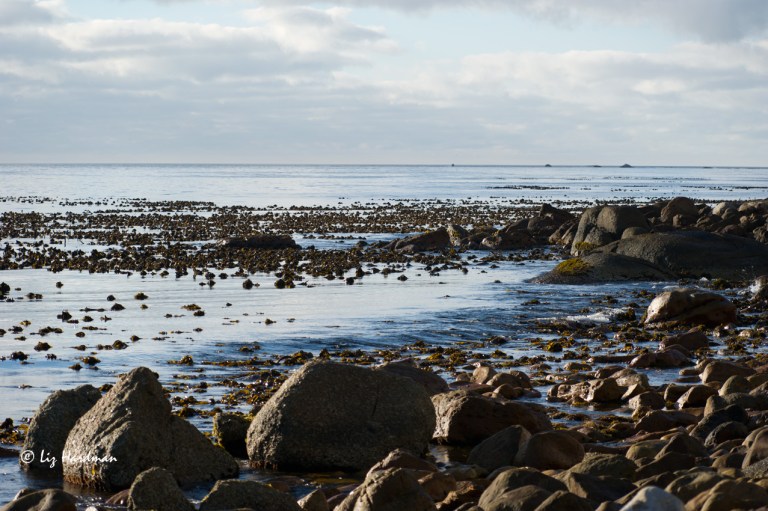 02_Dawn-slips-in-with-a-silvery-light.