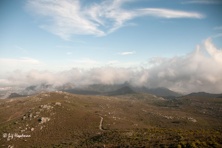 The-Tablecloth-creeps-in
