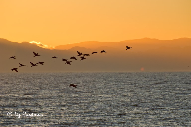 Autumn's golden rays herald in the day.  