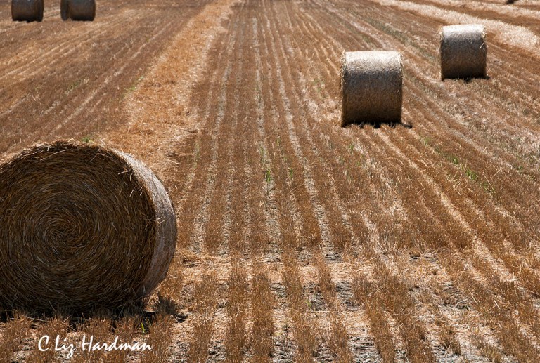 f9 - mid range focal point