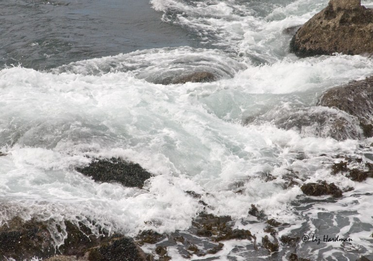 The-growling-voice-of-the-sea