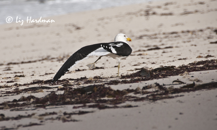 Stretch to keep limber