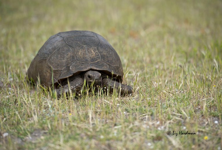 Inside a a fully plated armoured suit.