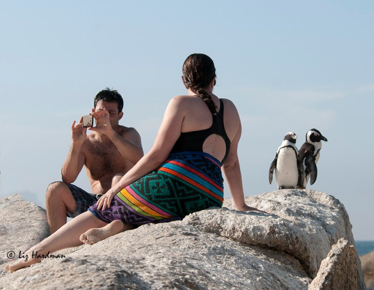 Posing for the penguins