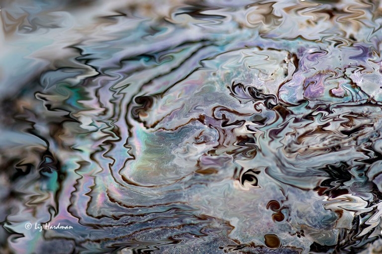 Perlemoen_DSC5011_72ppi