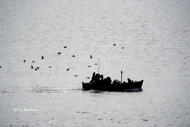 Fishing boat silhouette_01