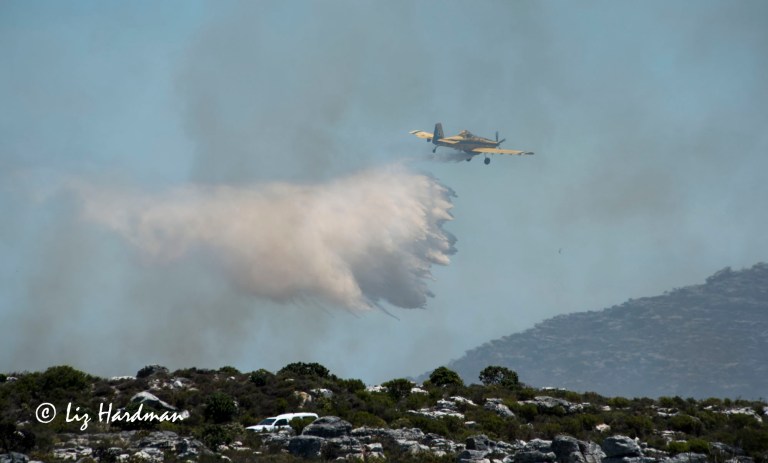 A fixed wing plane waterbombing the advancing flames.