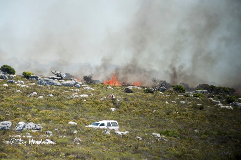 Kleinplaas dam area, Red Hill
