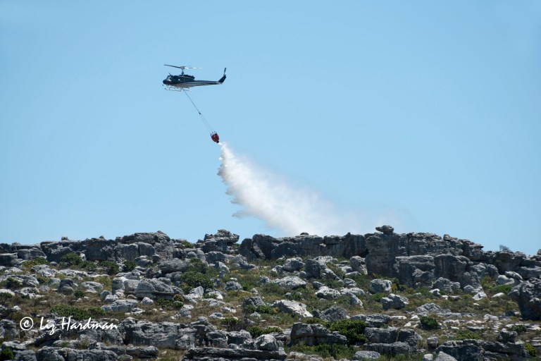 One of five helicopters dropping water.