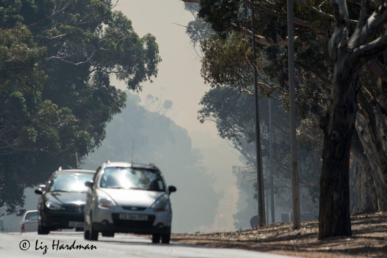 Traffic exiting from Kommetjie and Ocean View