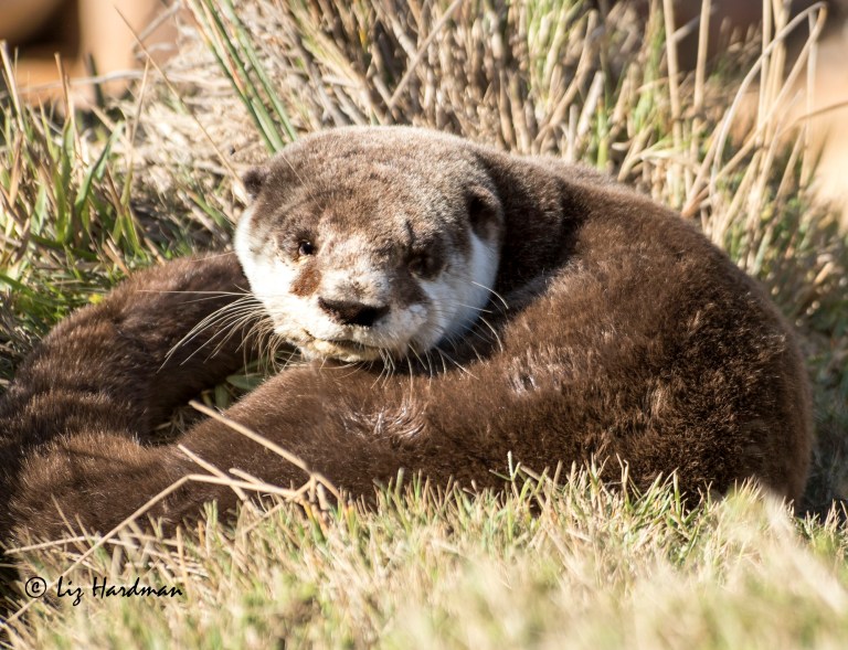 A sunny spot in the late afternoon.
