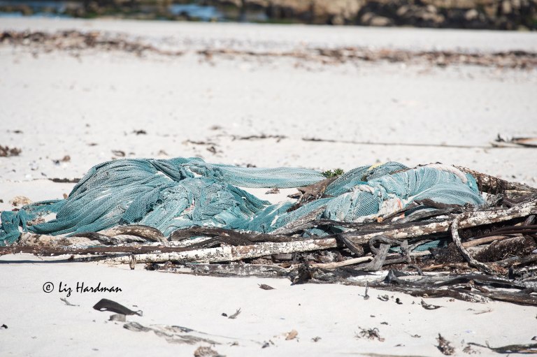 Discarded fishing net on beach