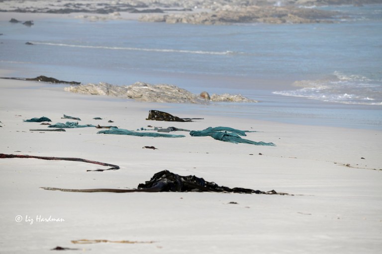 Fishing nets hazard on beach