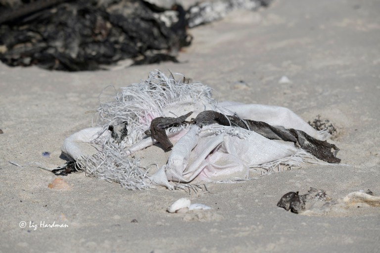 Plastic sack degrading on beach