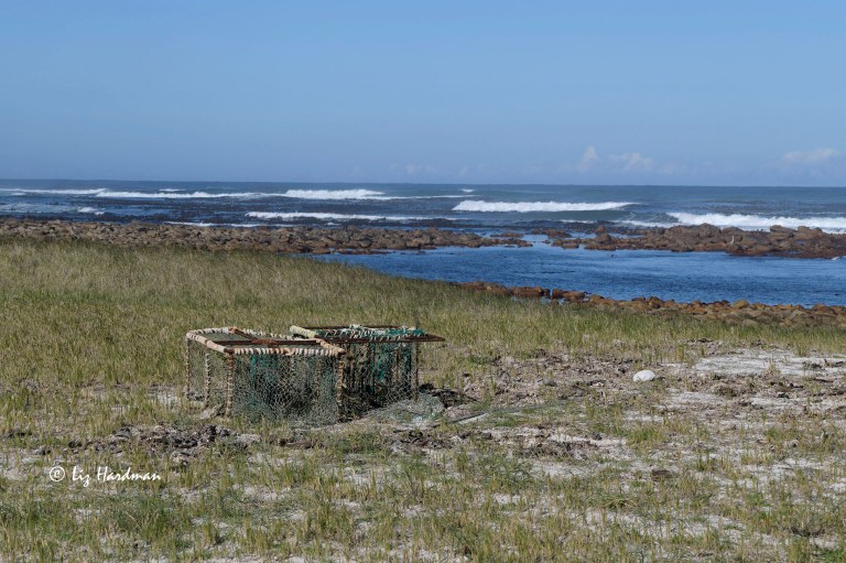 Discarded lobster trap washed up by sea